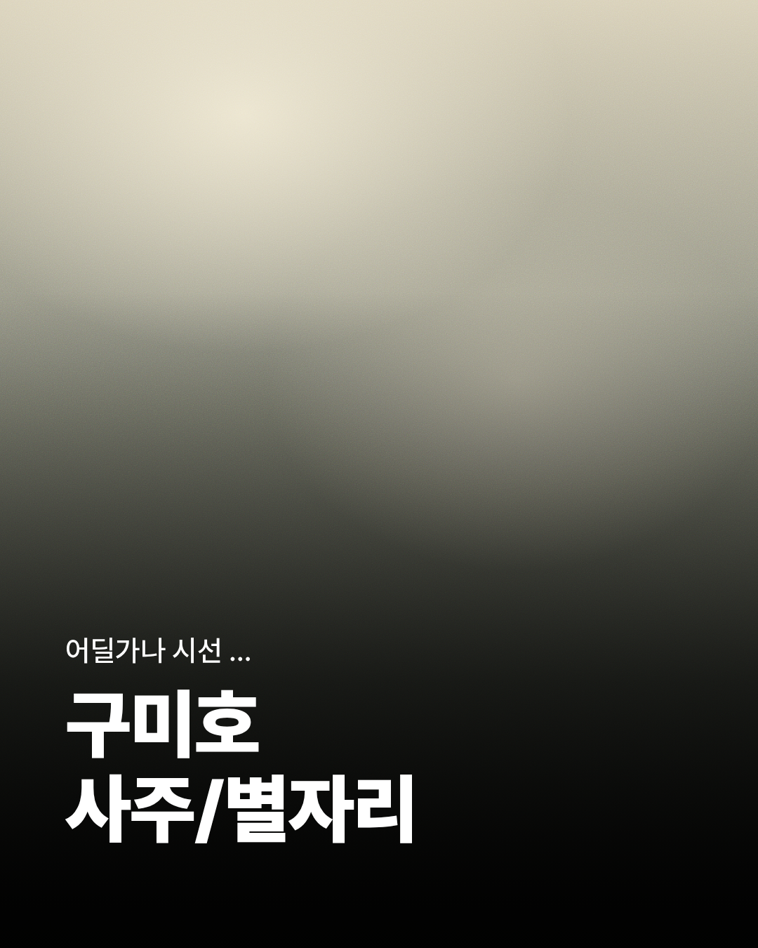 컨셉 일주카드